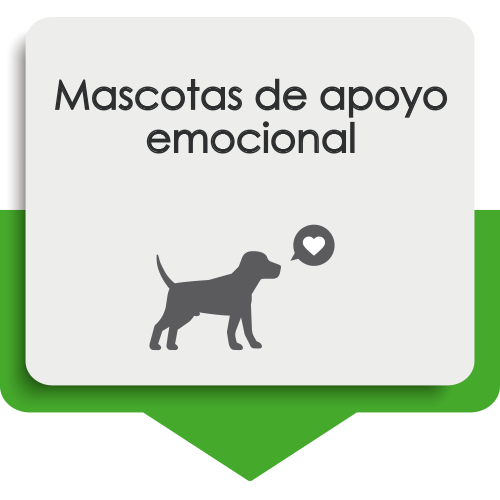 APOYO EMOCIONAL