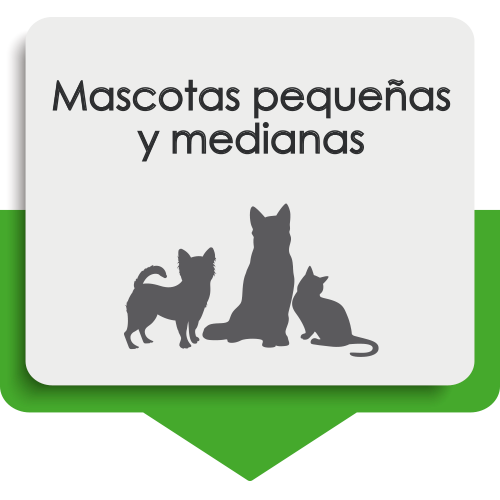 MASCOTAS PEQUEÑAS Y MEDIANAS